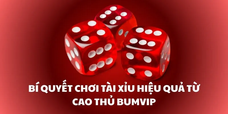 Bí quyết chơi tài xỉu hiệu quả từ cao thủ Bumvip